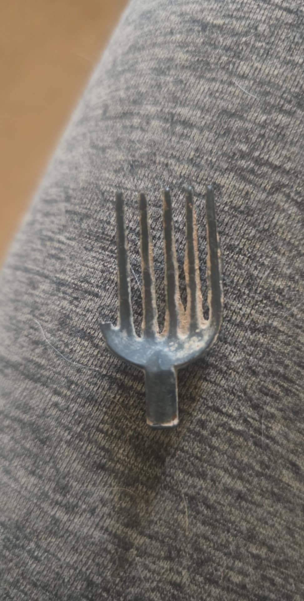 1000009067.jpg