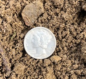 1940 dime.png