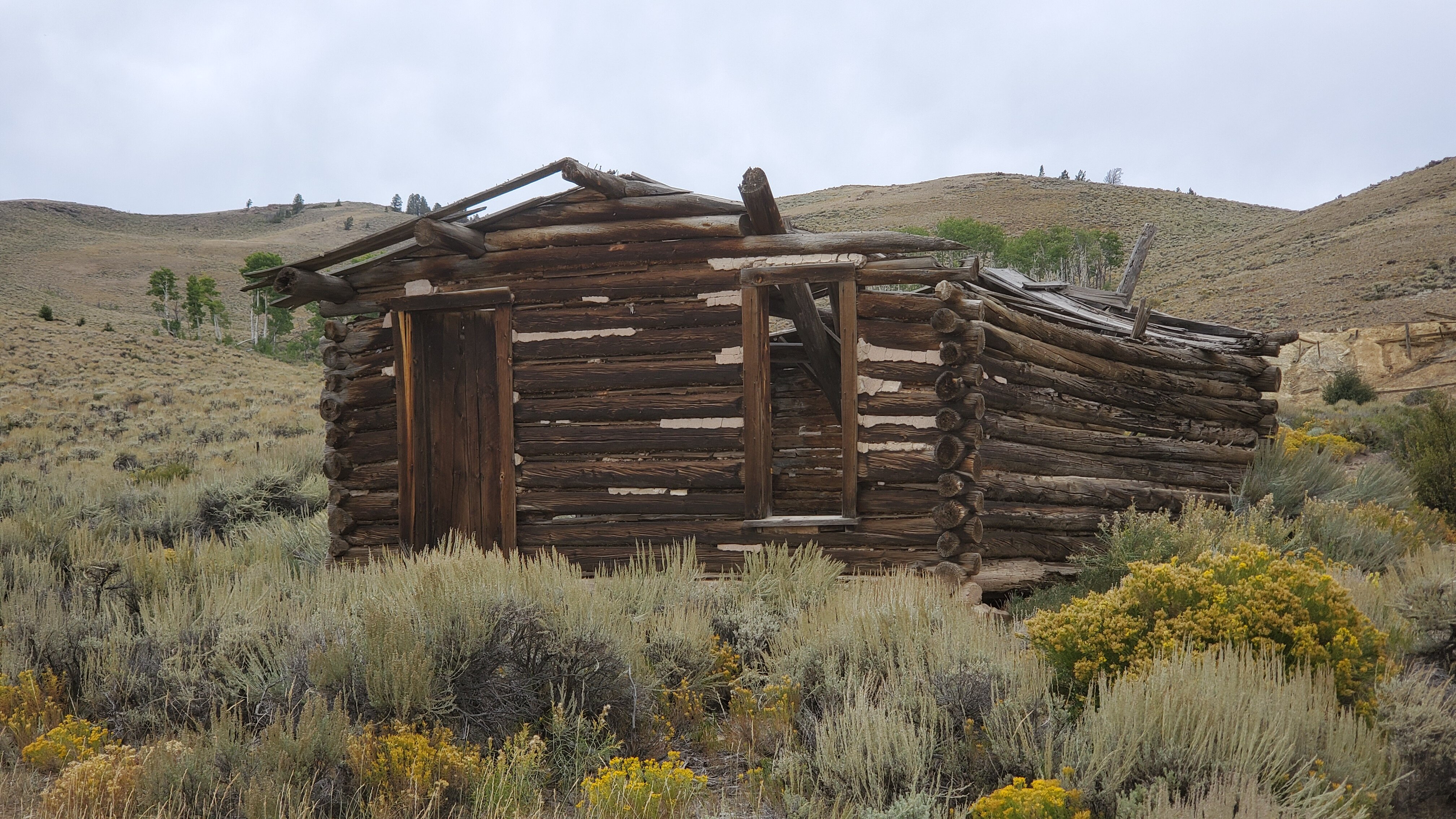 20190915_143838[1].jpg