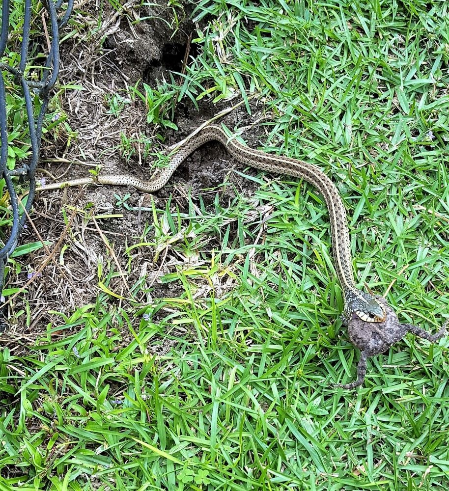 20201006_144653.jpg