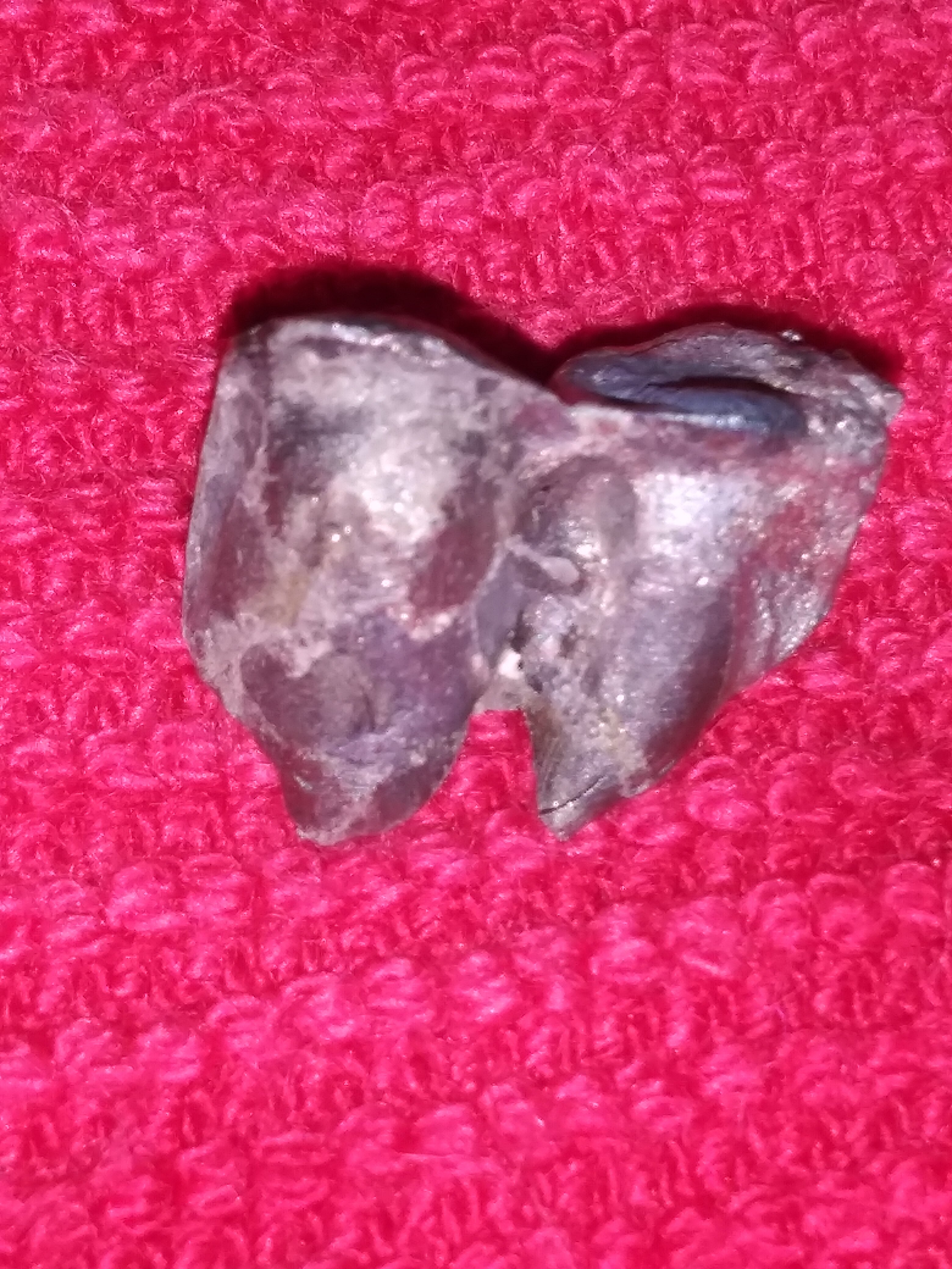 20220122_215924.jpg