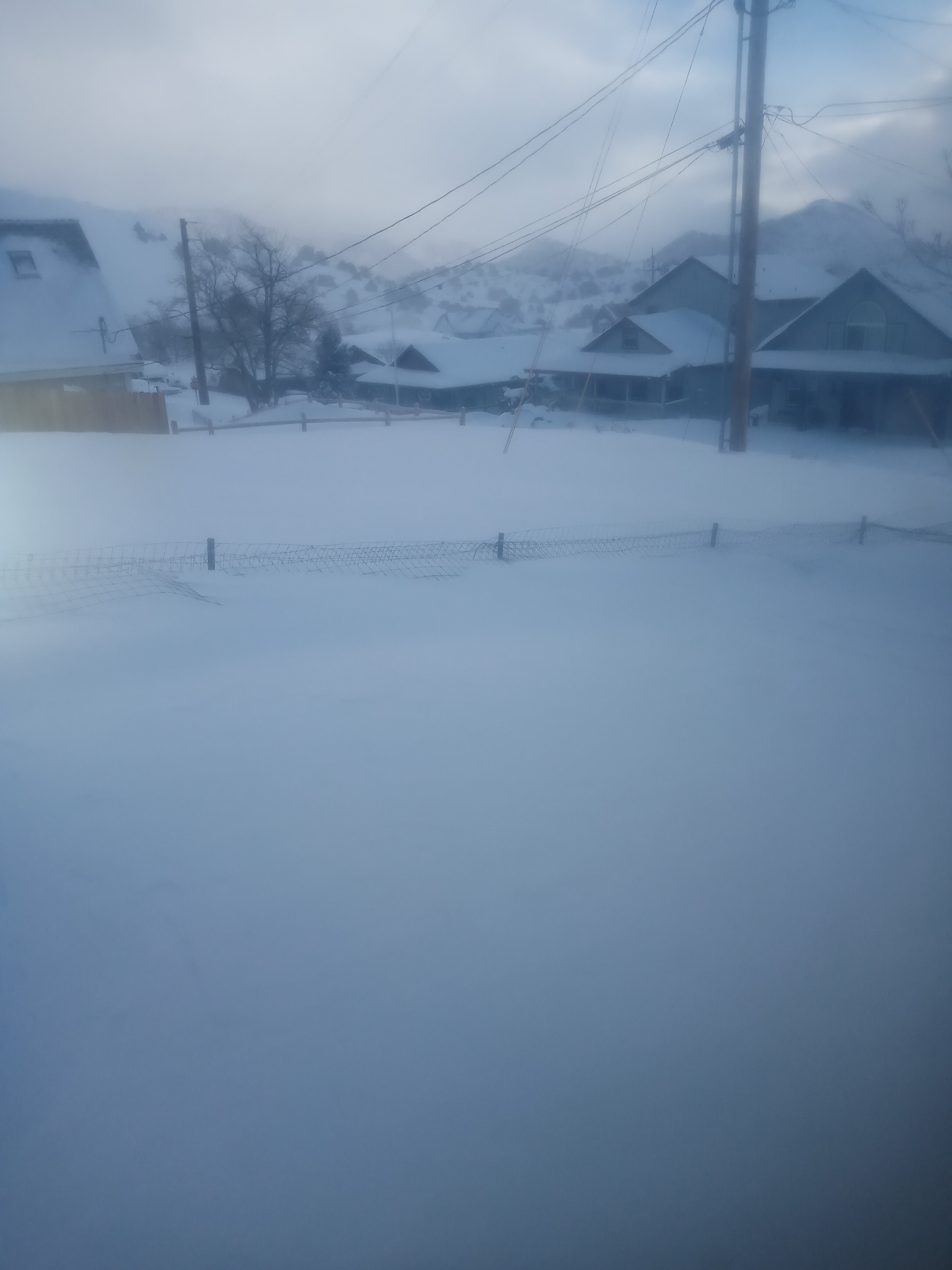 20230301_074431.jpg