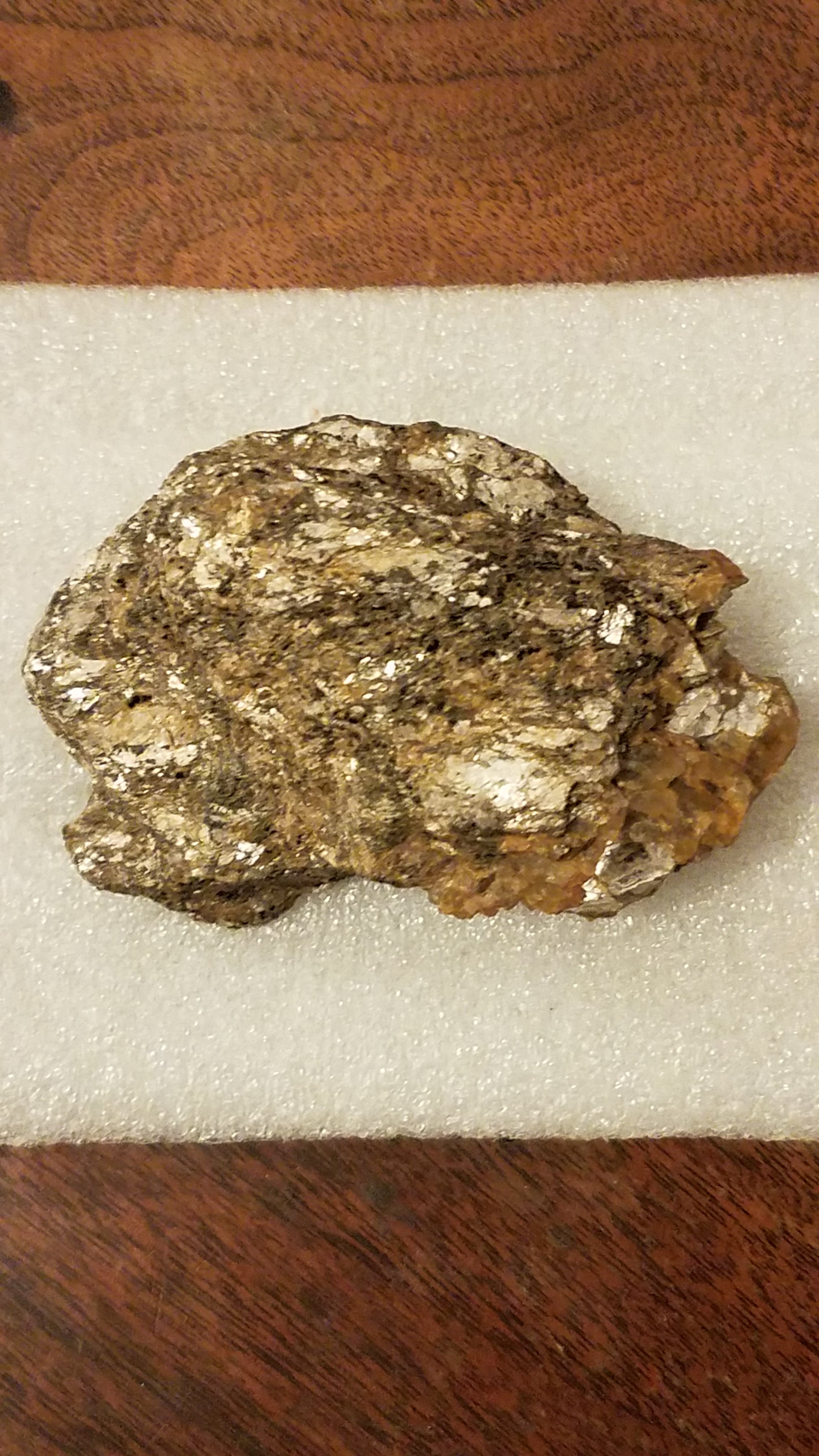 20240115_210813.jpg