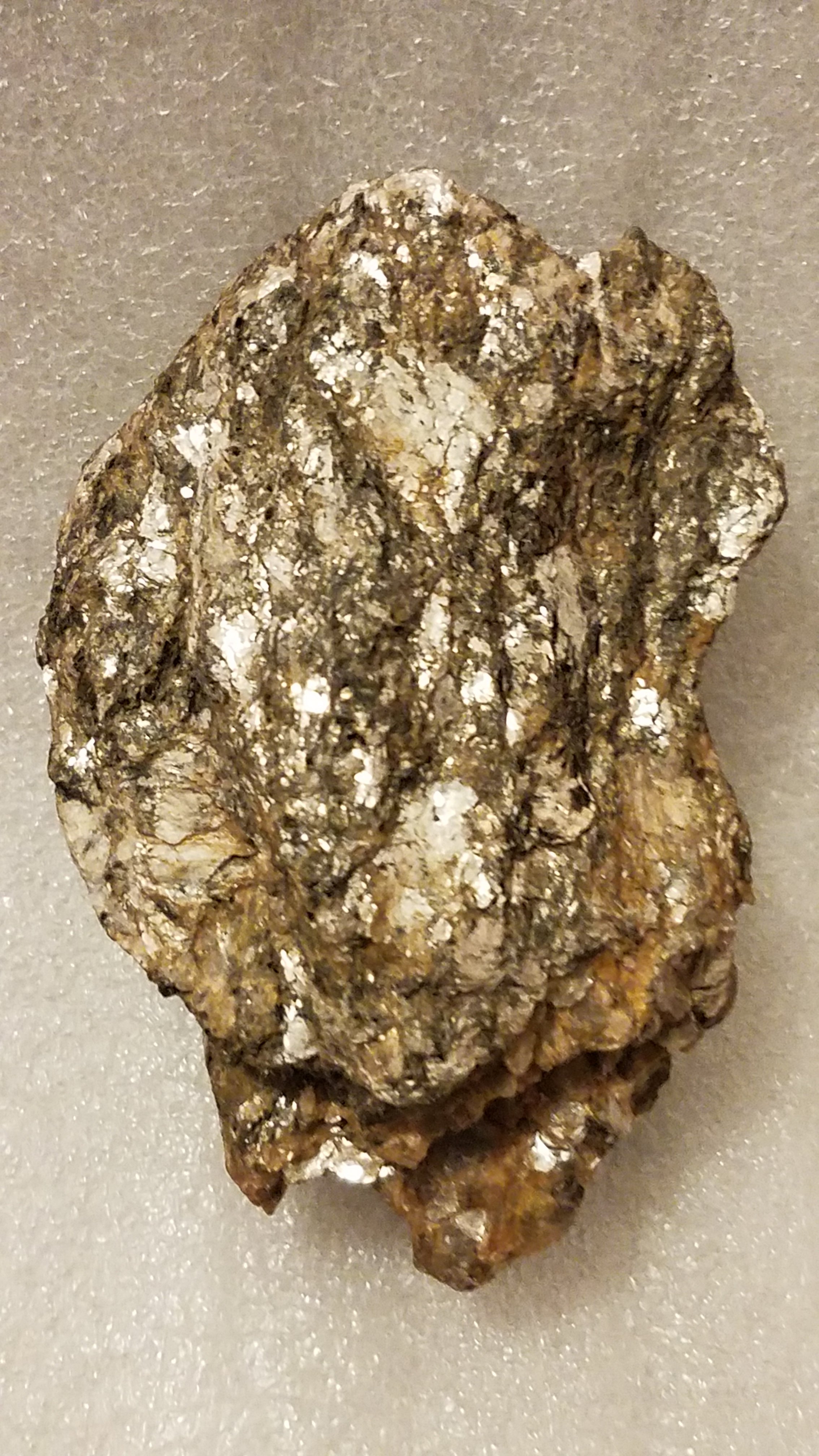 20240115_210853.jpg