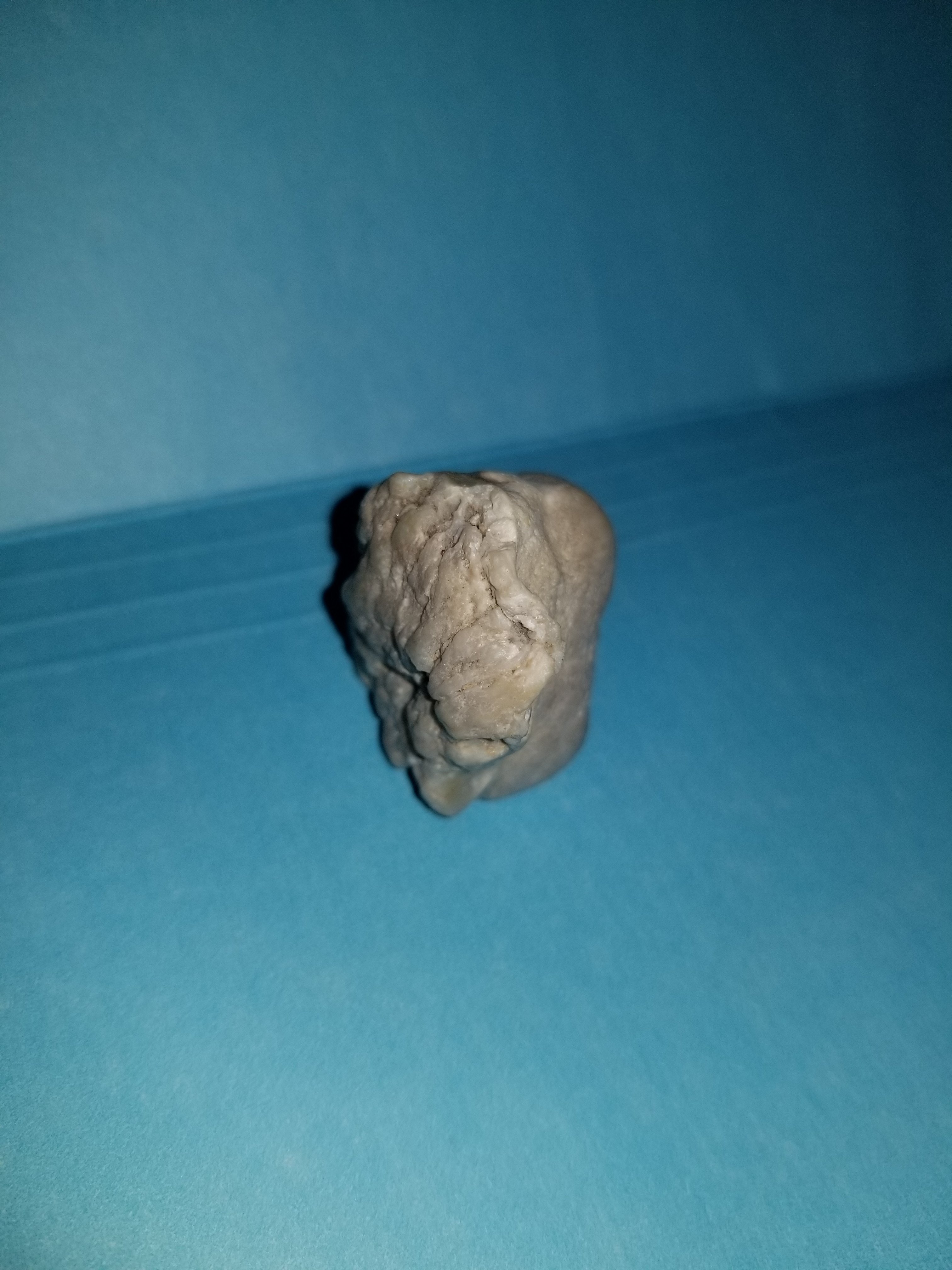 20240225_181618.jpg
