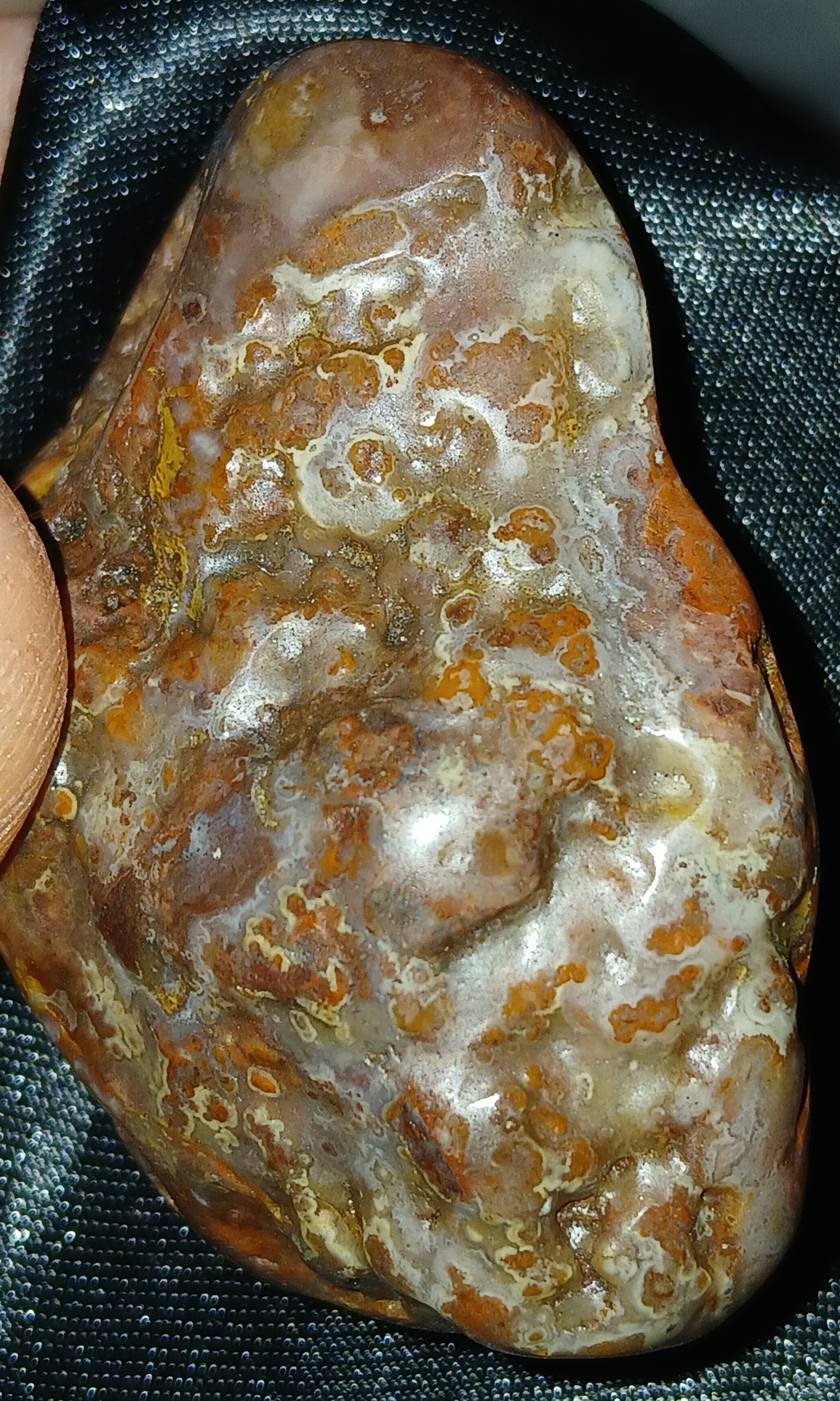20240330_040227.jpg