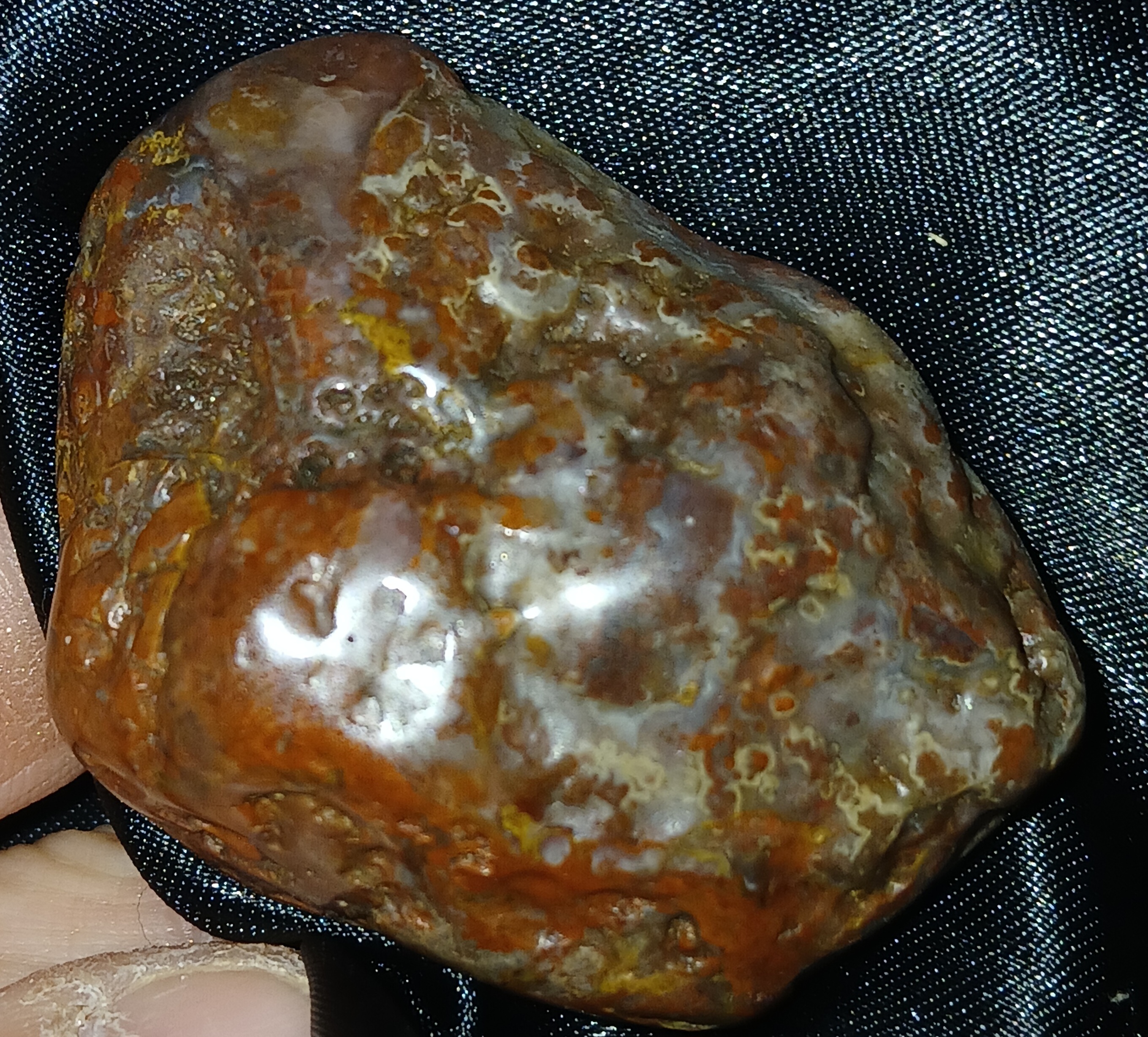 20240330_040236.jpg