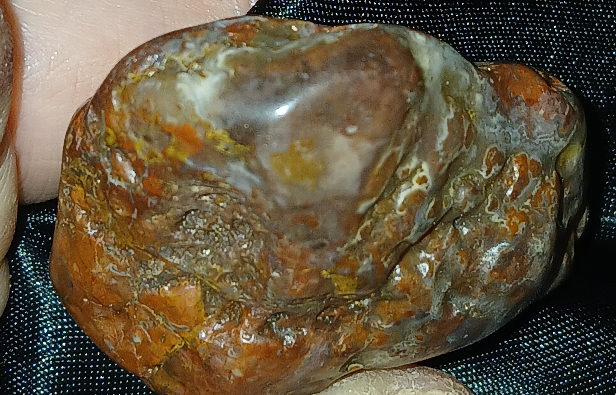 20240330_040245.jpg
