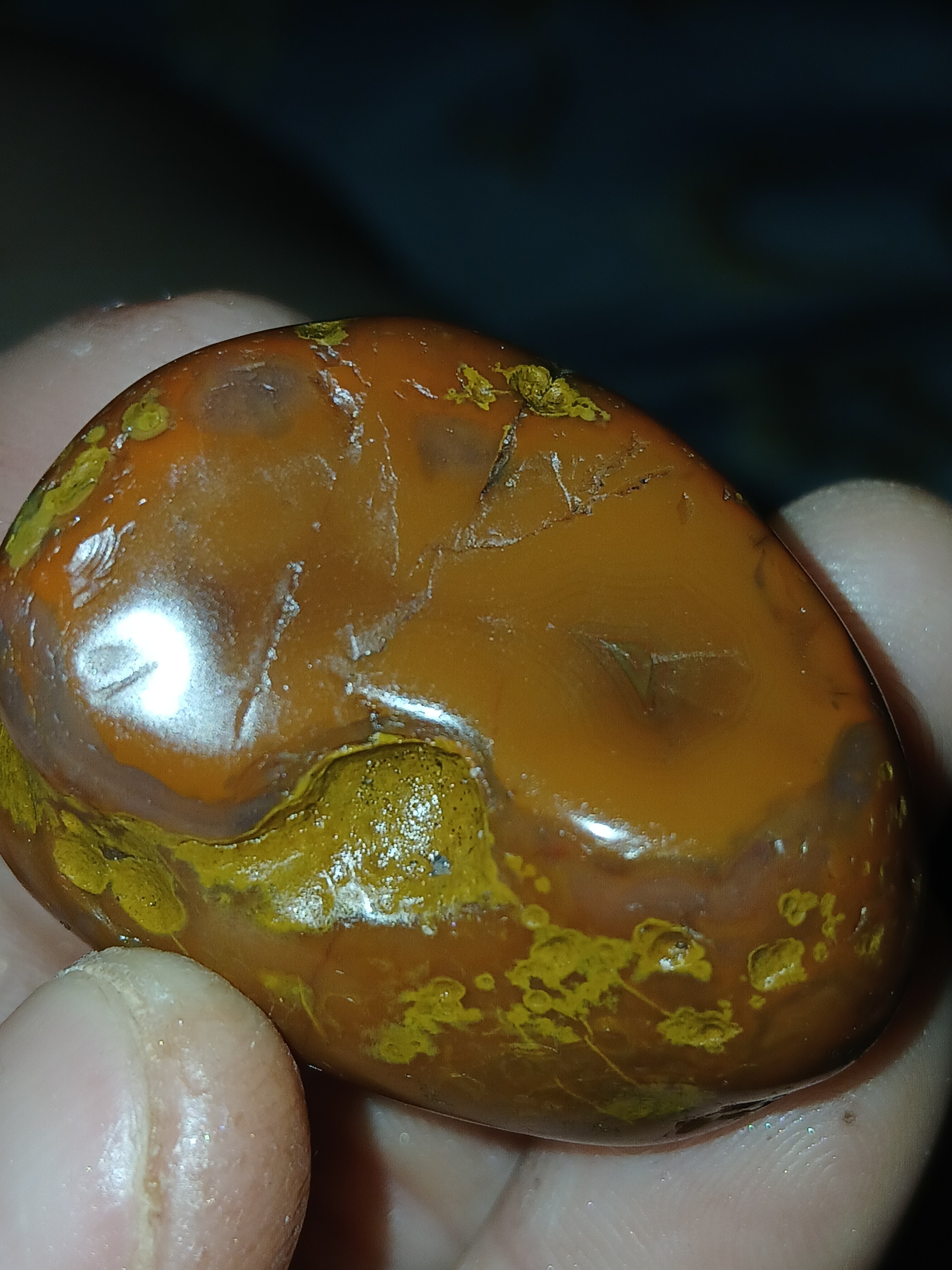 20240330_041507.jpg