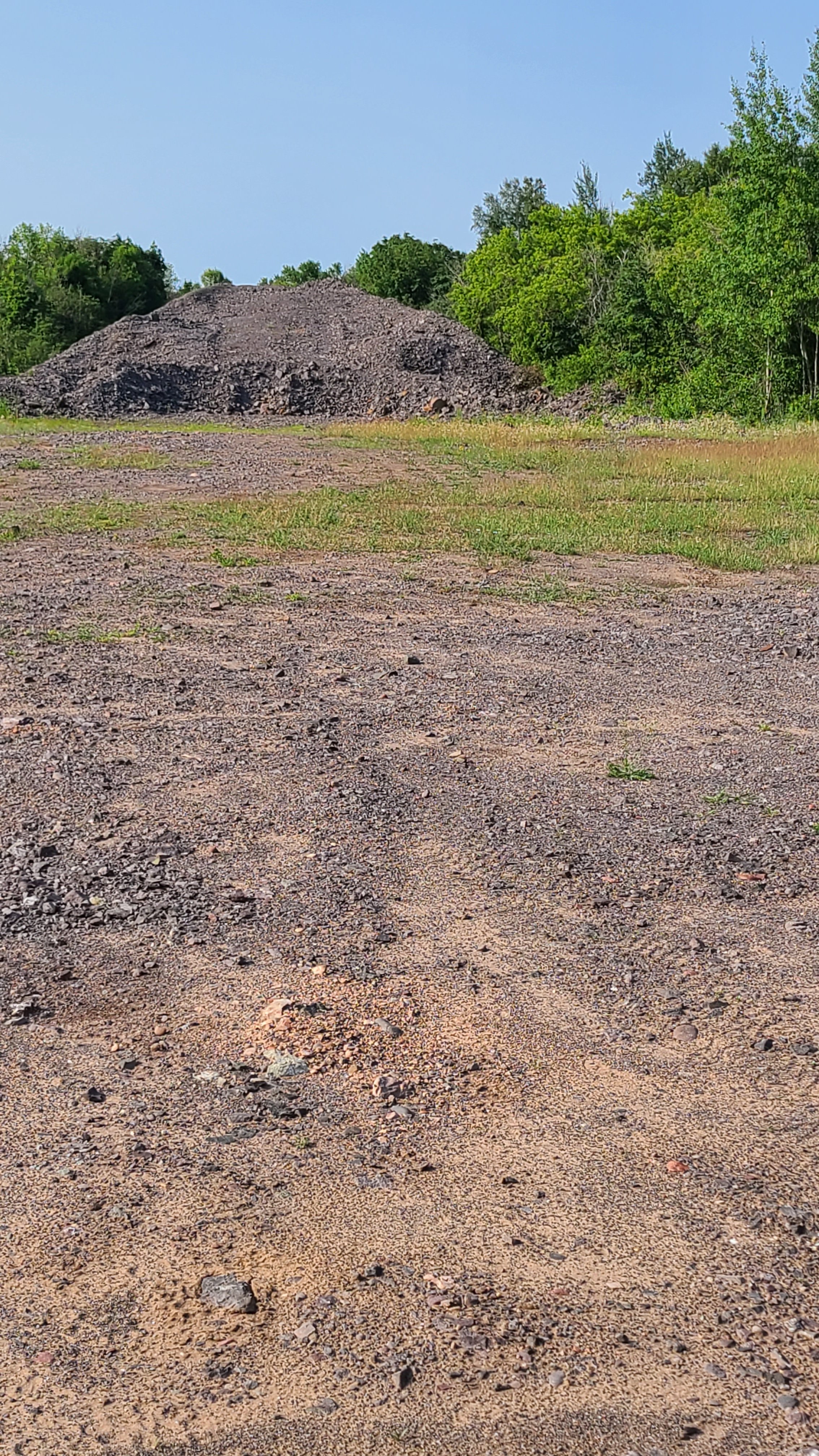 20260724_095723.jpg