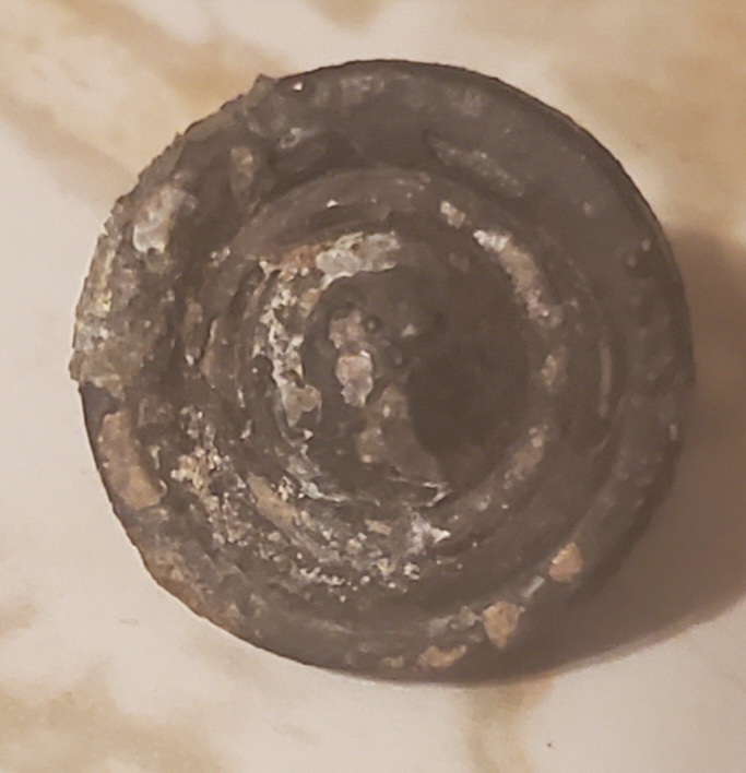 20260724_223652.jpg