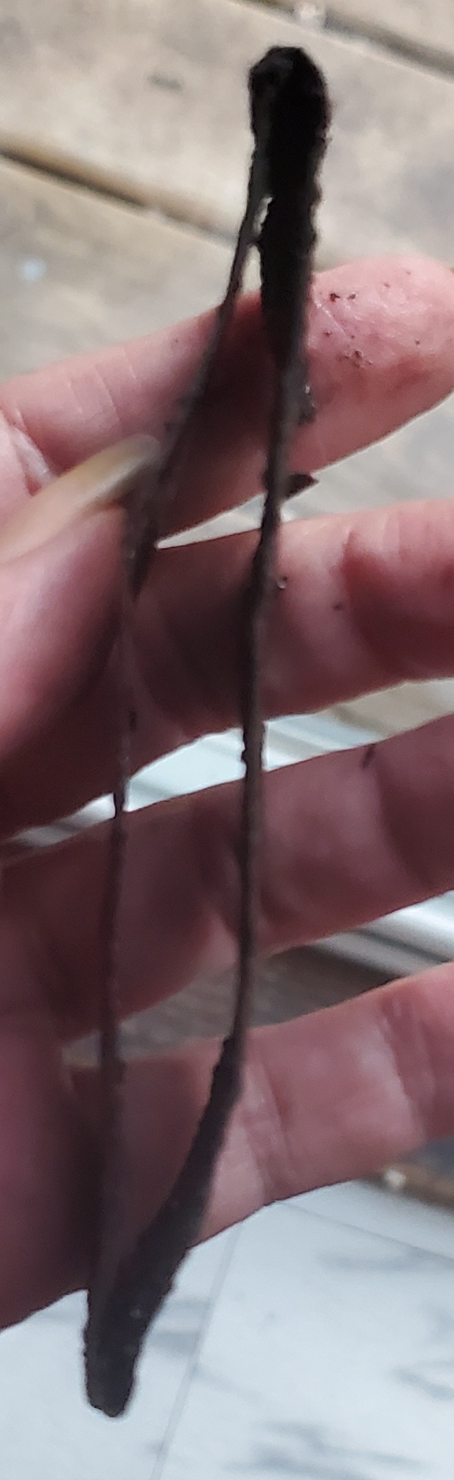 20260805_195754.jpg