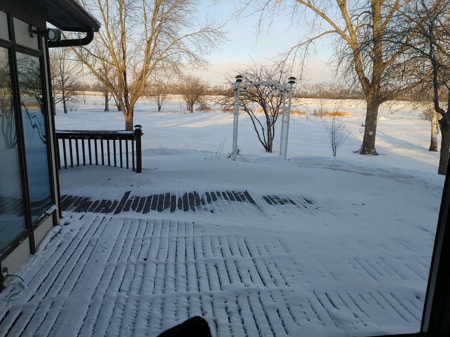 BackYard.jpg