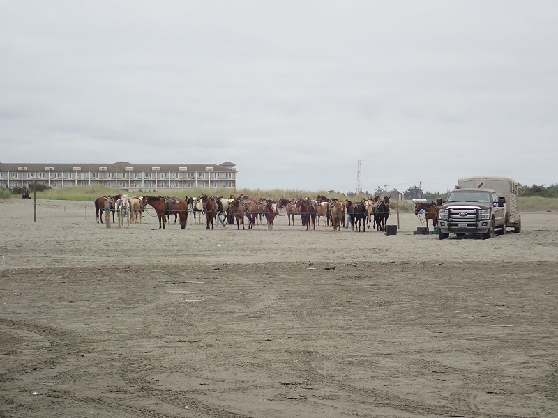 beach4.jpg