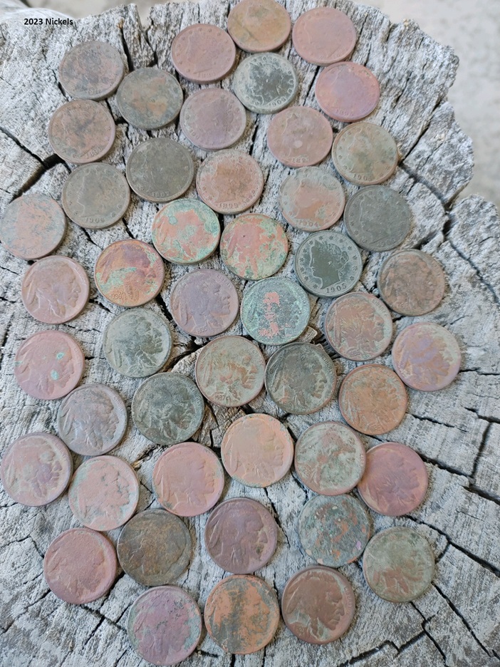 BuffaloAndVNickels.jpg