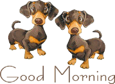 !cid_0A8CDA0EEAA540AB8C4CB28C68D400FE@gilPC.gif
