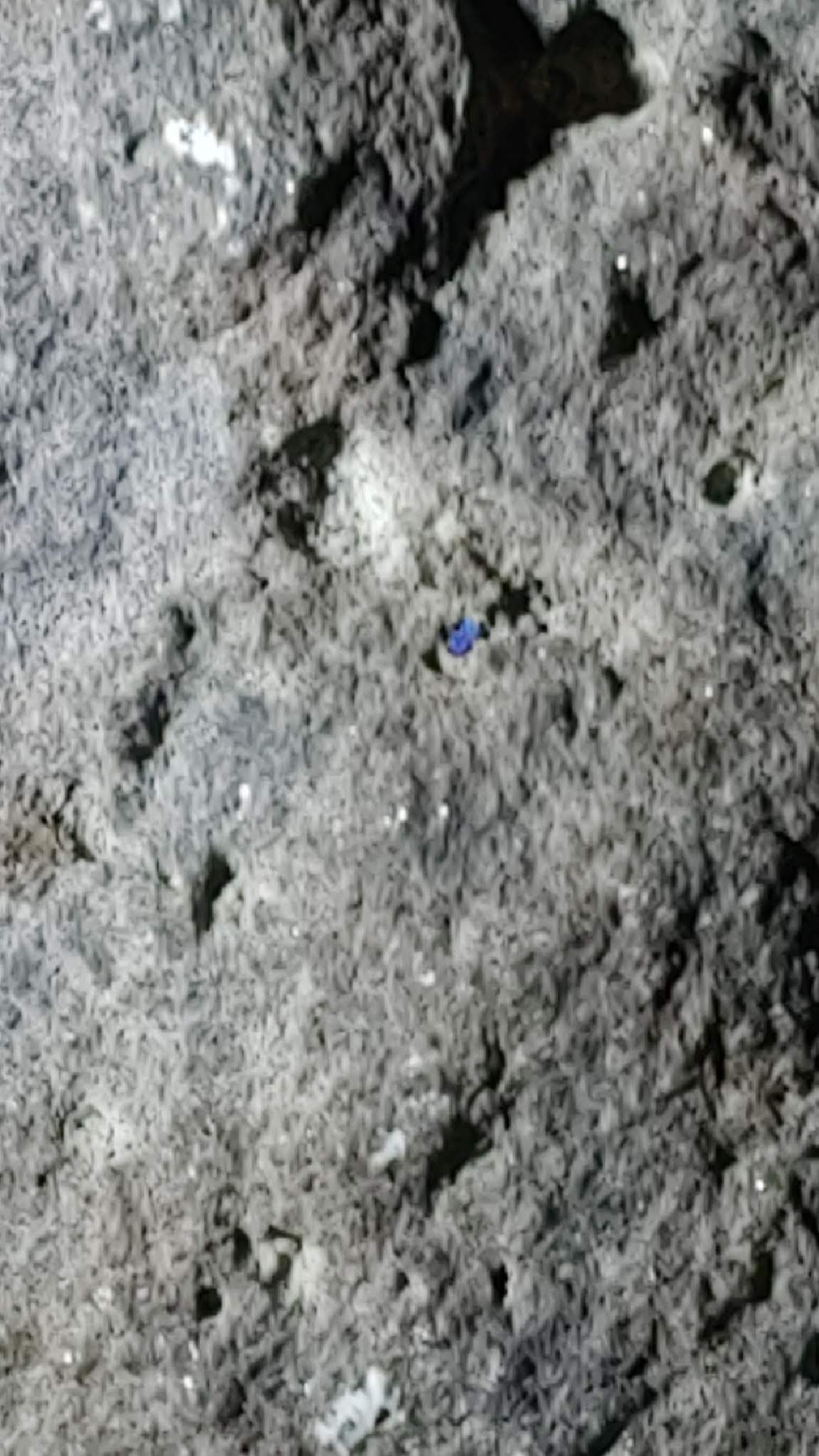 CM201013-211025008.jpg