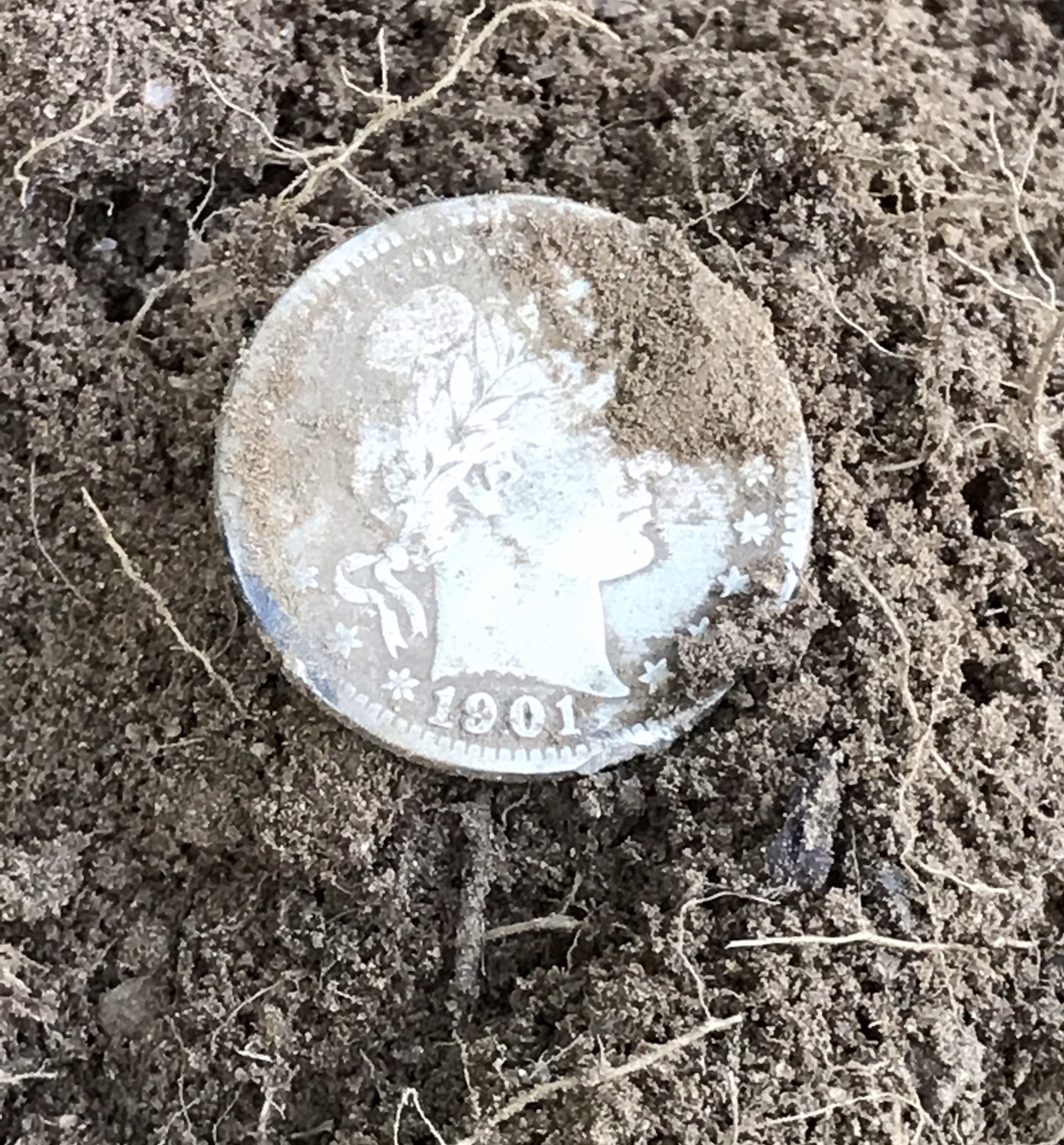 coin3 - Copy.jpg