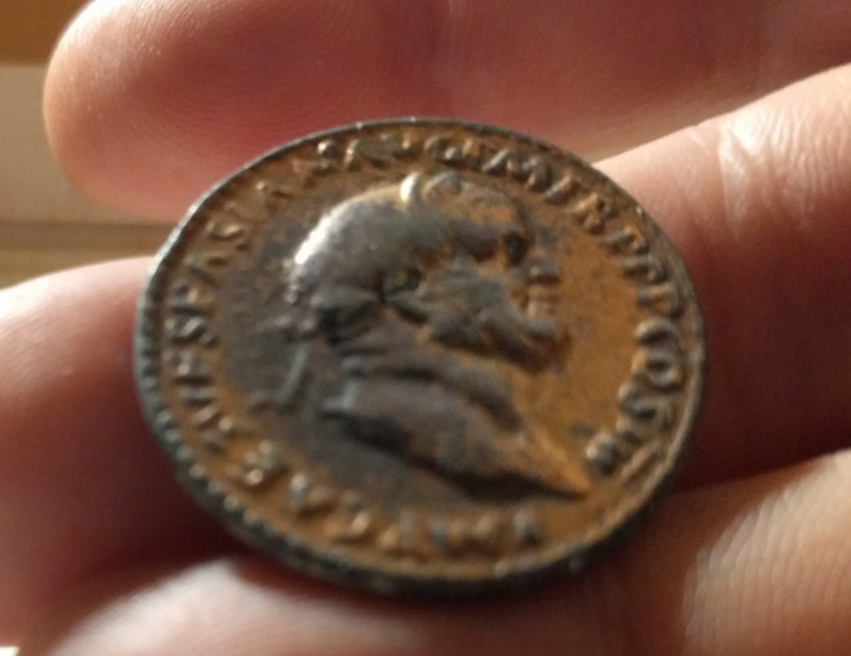 coin5.jpg