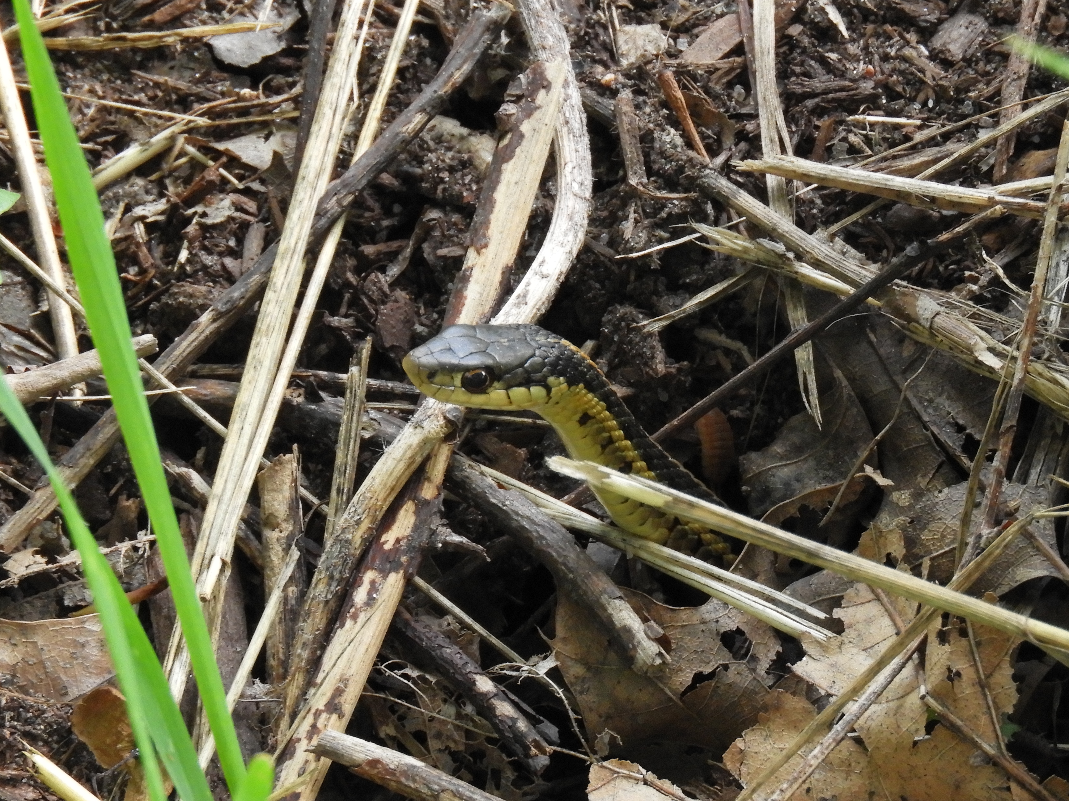 DSCN3274.JPG