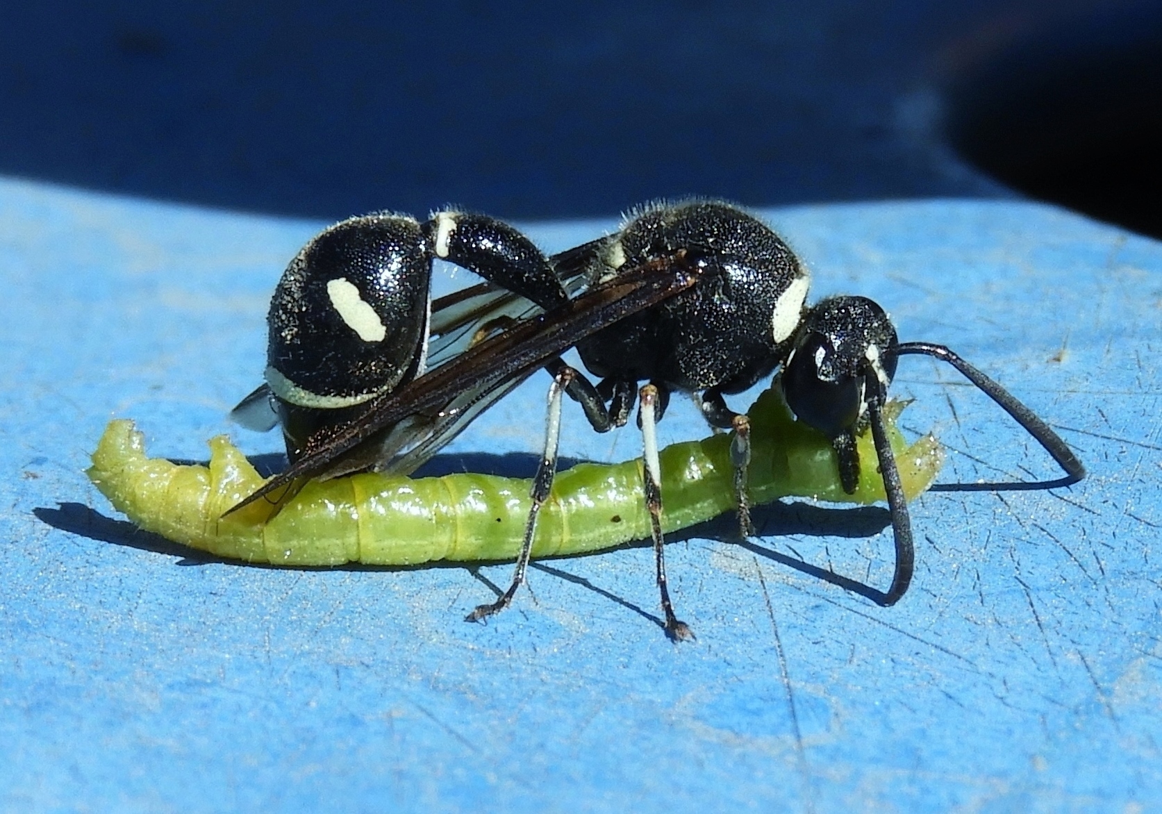 DSCN4766.JPG