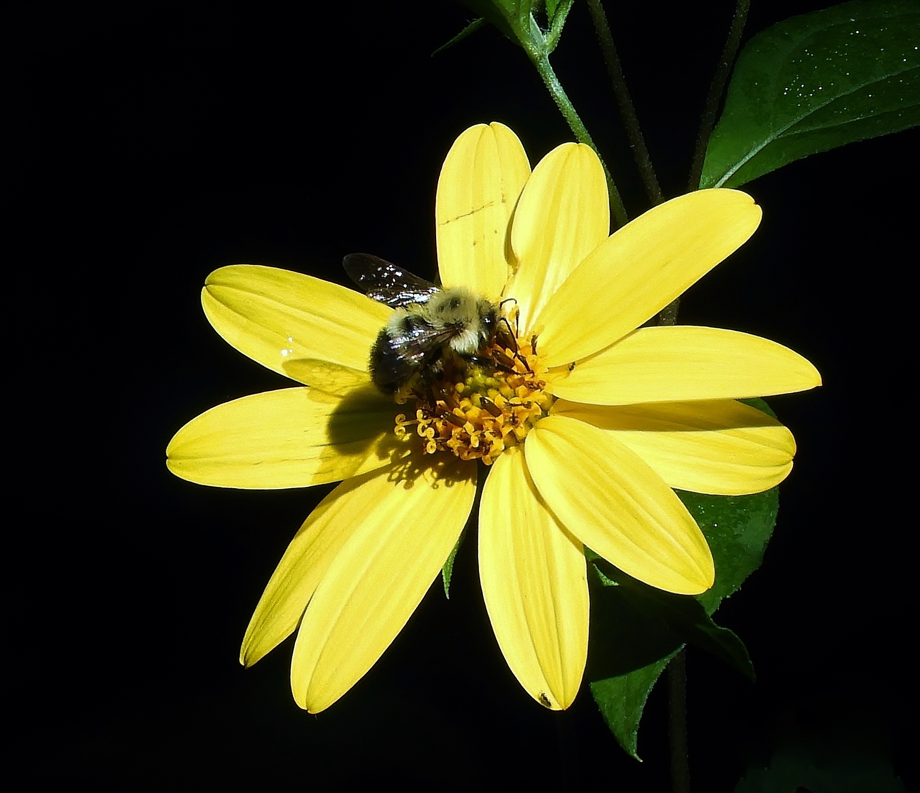 DSCN6936.JPG