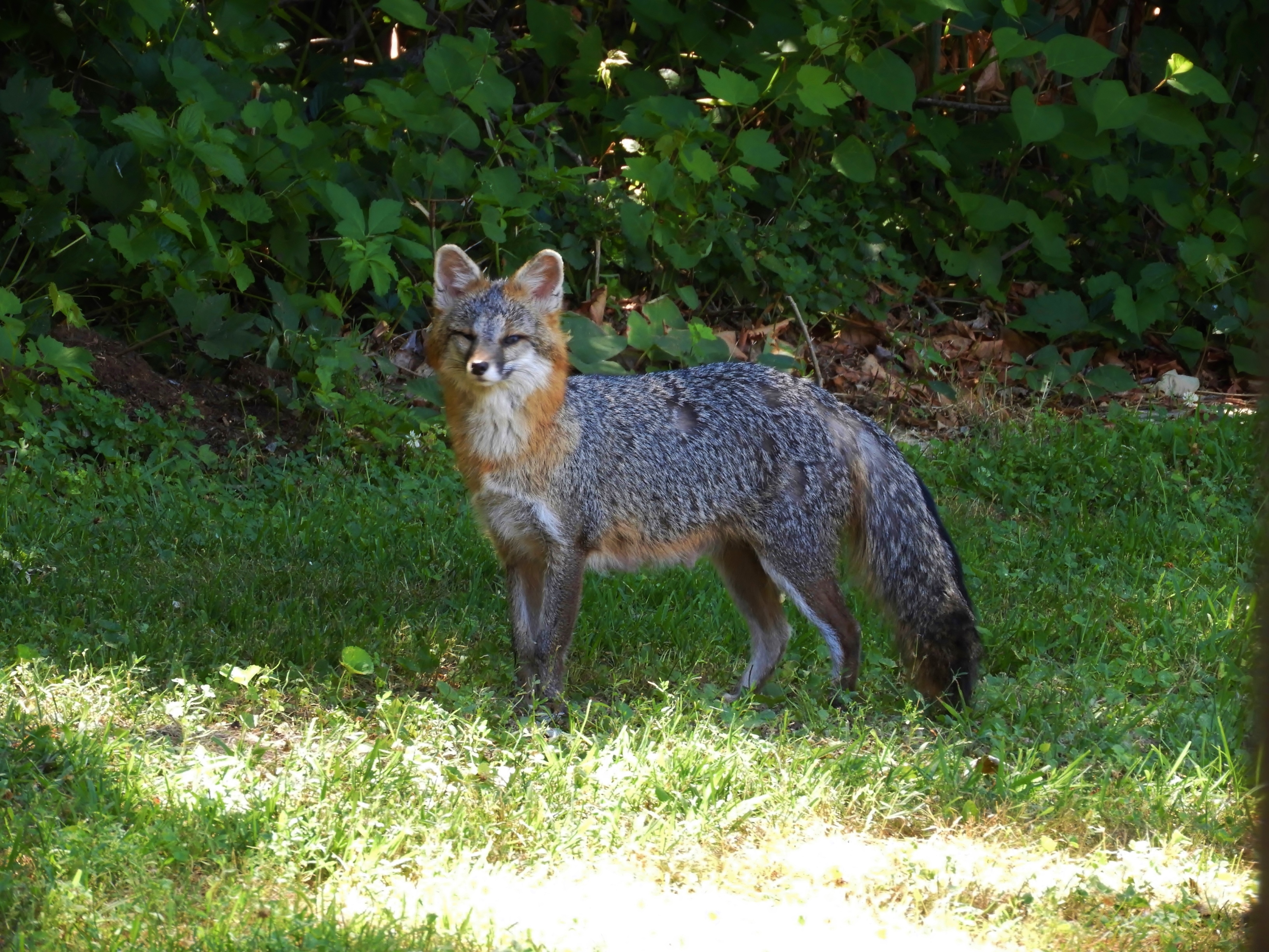 DSCN7178.JPG