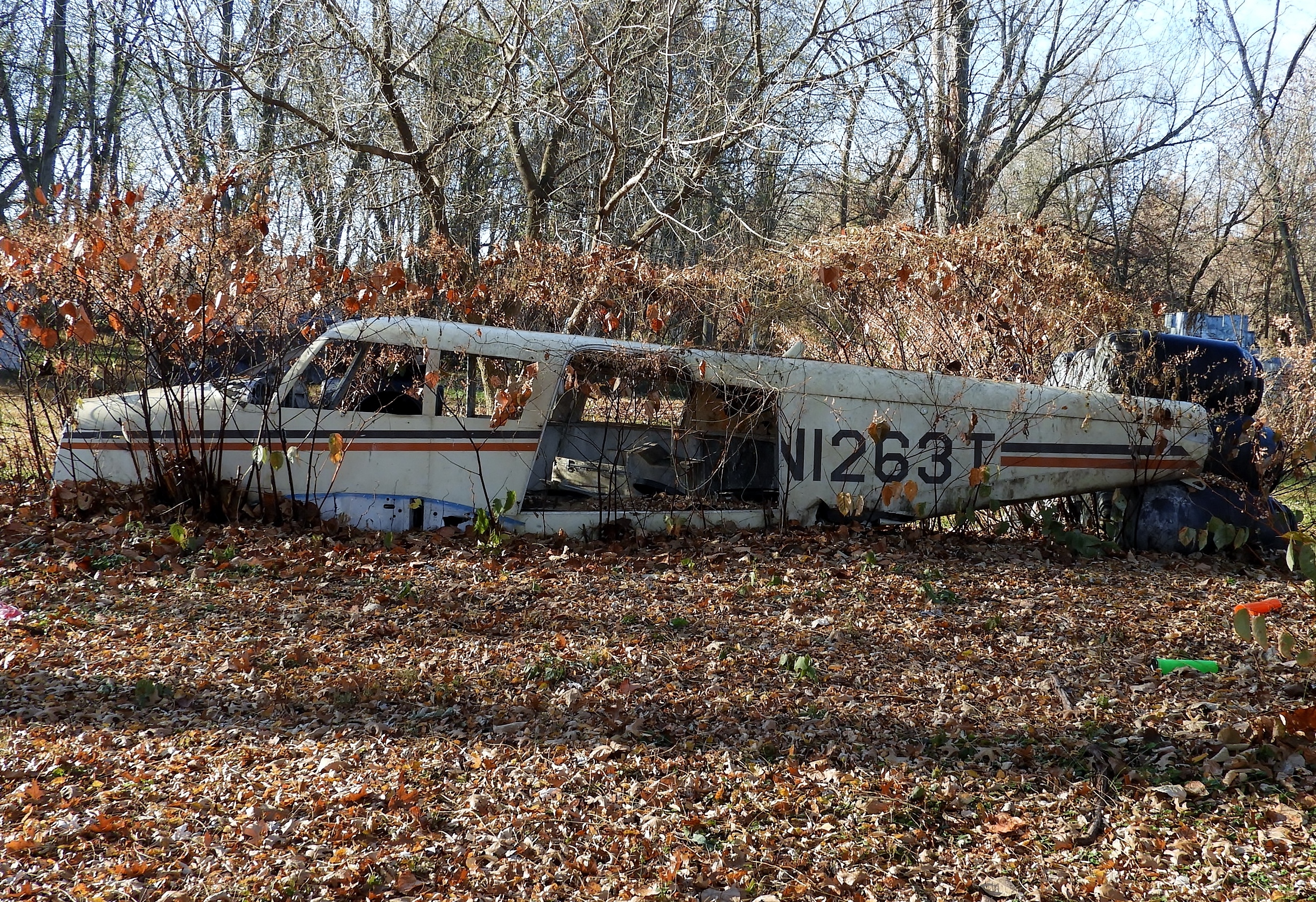 DSCN8530.JPG