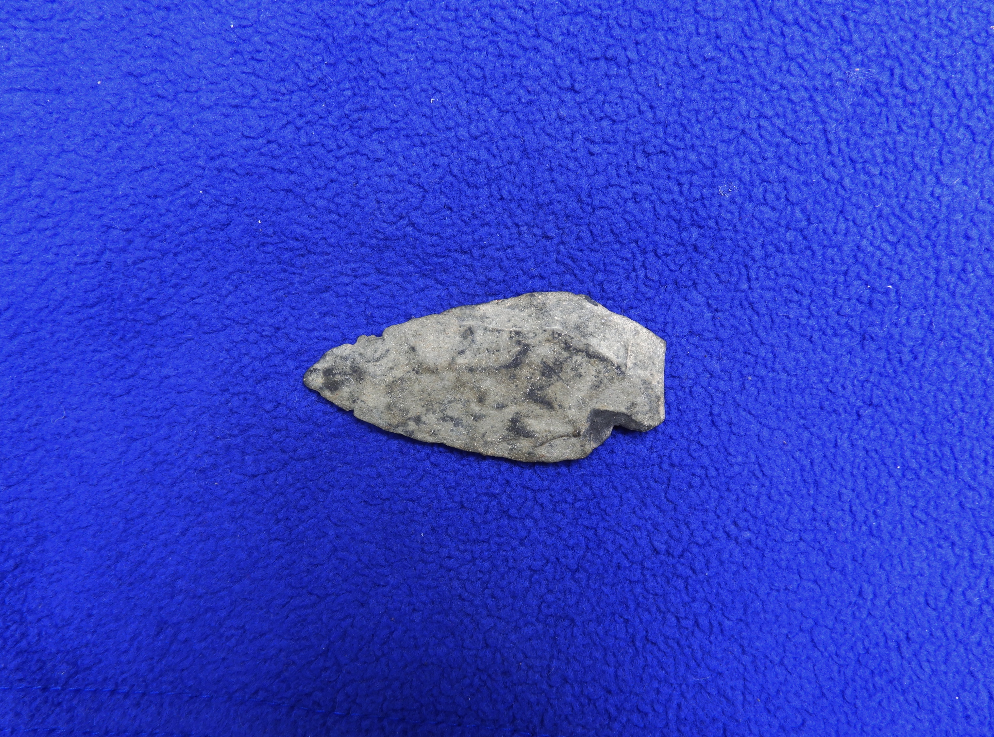 DSCN9407.JPG