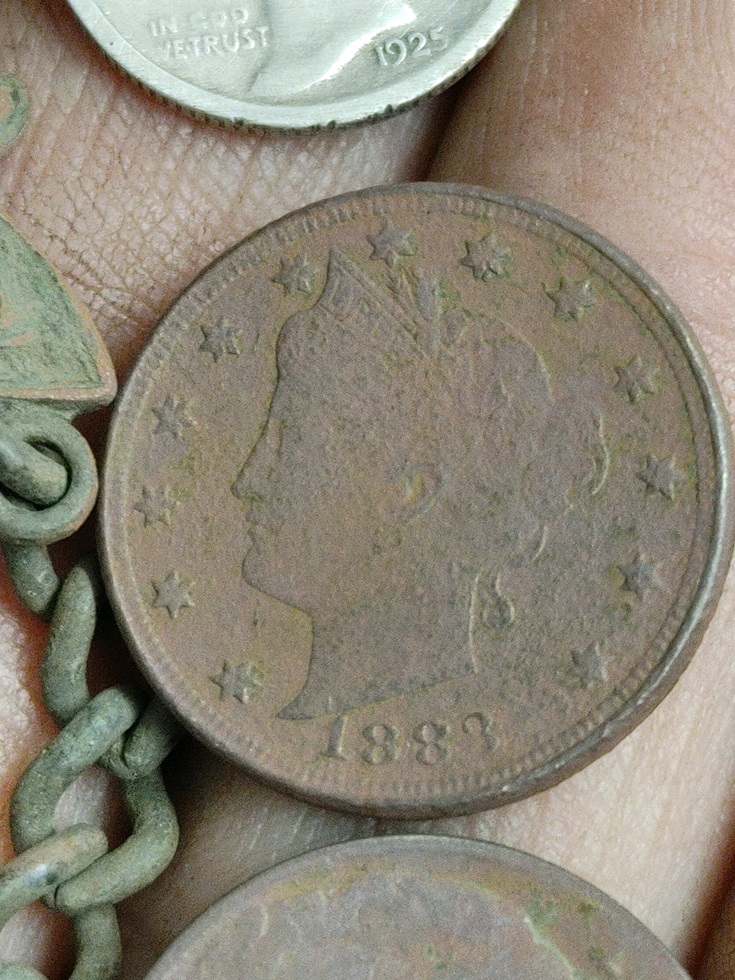 FirstYearVNickelCloseup.jpg