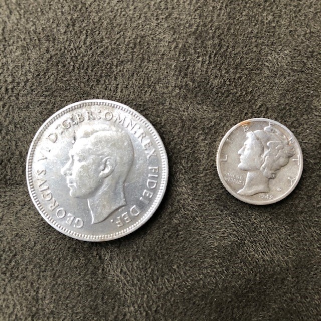 florin 2.jpg