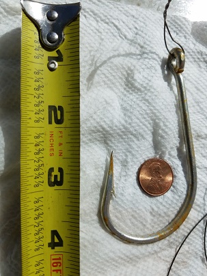 Four Inch hook w 12 ft wire leader 2020.jpg
