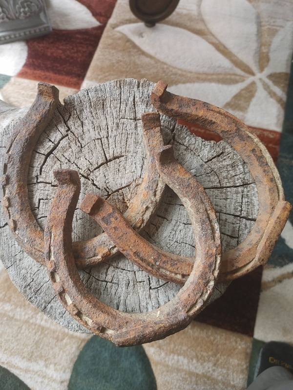 Horseshoes.jpg