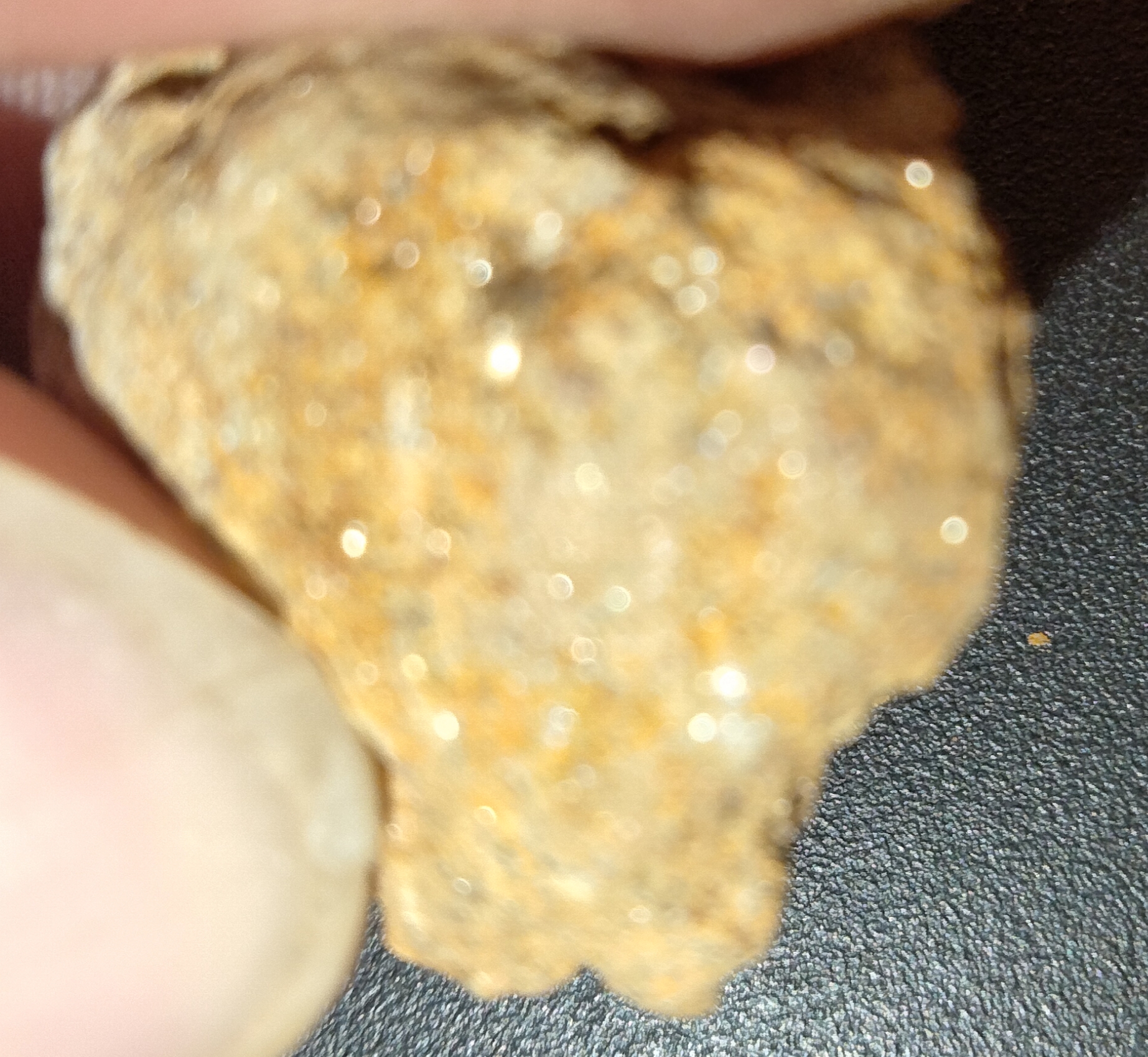 IMG_20230423_231308.jpg