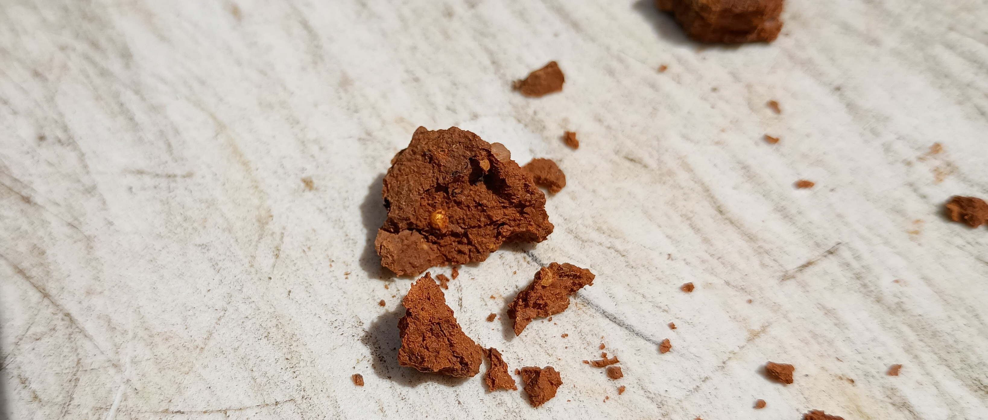 IMG_20251105_121430264 (1) (1).jpg