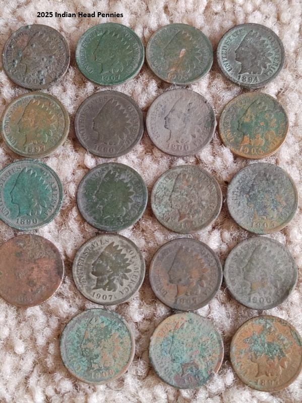 IndianHeadPennies.jpg