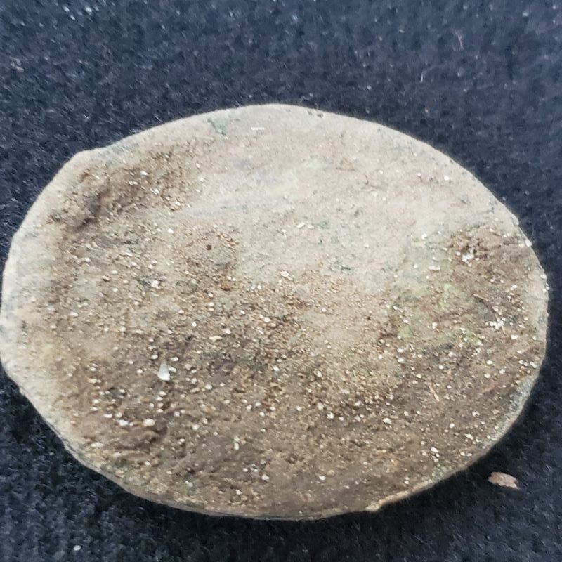 large cent 1.jpg