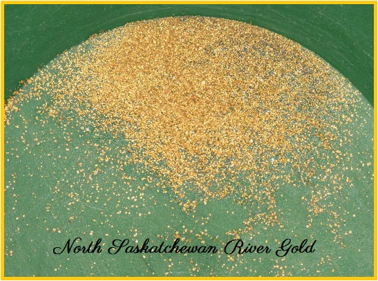 north s river gold.jpg