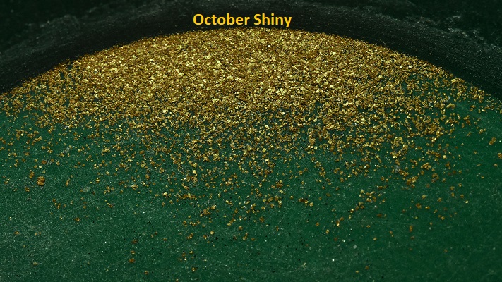 oct2a.JPG