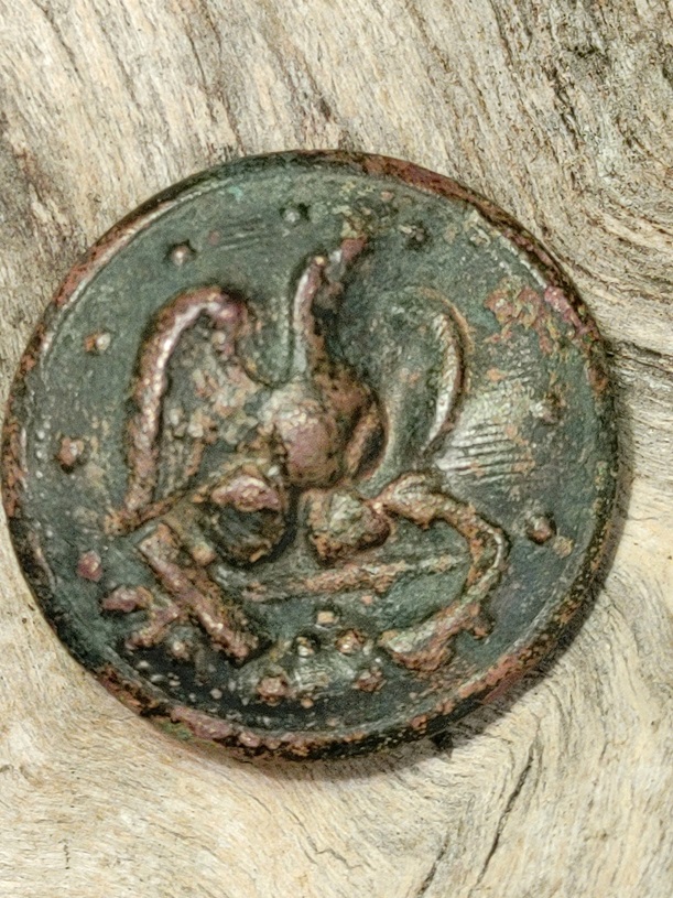 OldNavyButton.jpg