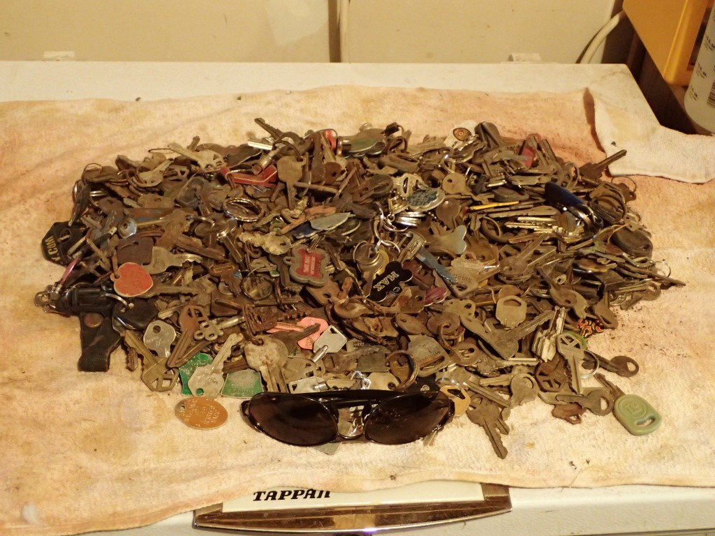 P8150014 (Medium).JPG