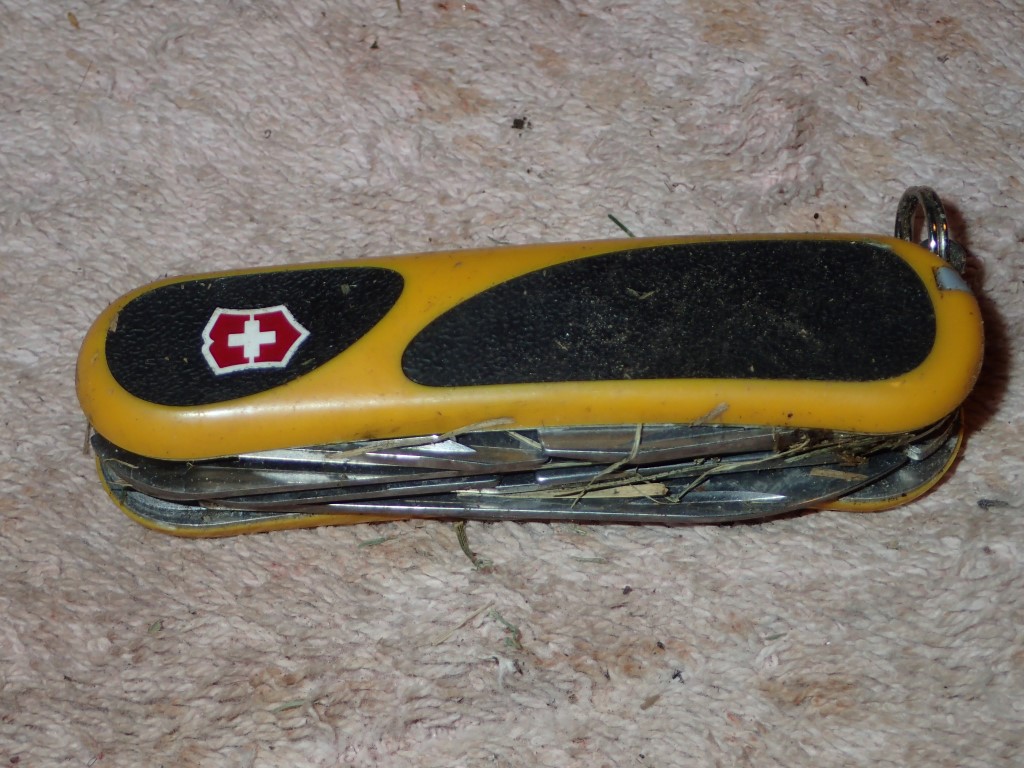 P8300006 (Medium).JPG