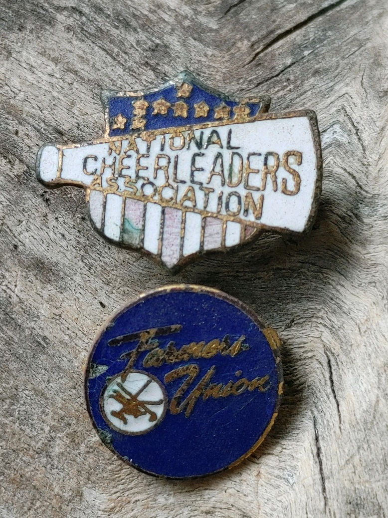 Pins.jpg