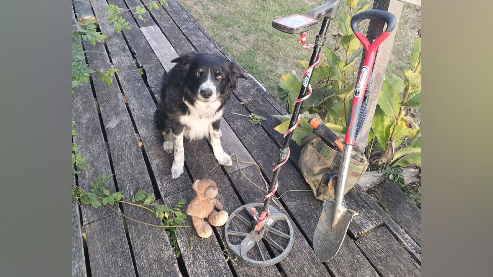 pupdetector.jpg