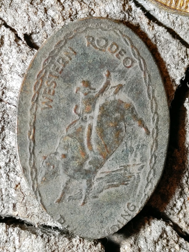 RodeoPenny.jpg