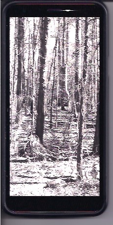 Scan_20240221.jpg