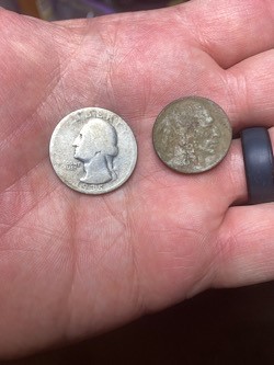 Silver and buffalo.jpg
