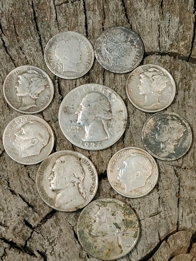 SilverCoins.jpg