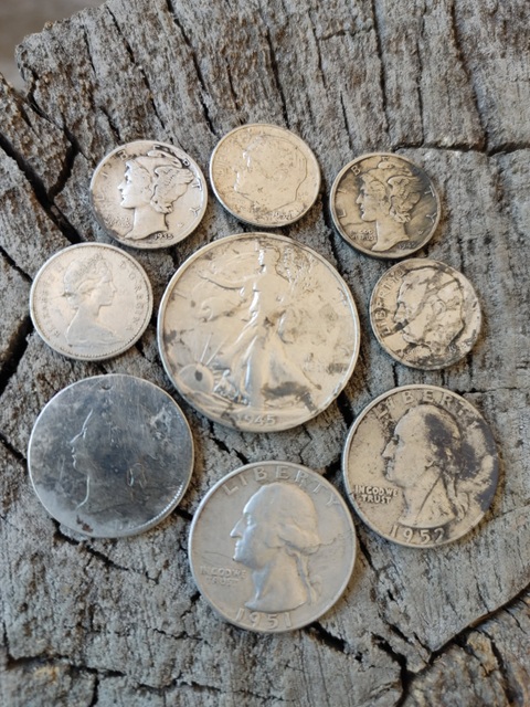 SilverCoins.jpg