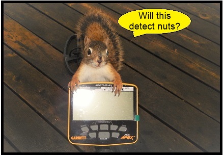 suirrel1_New.jpg